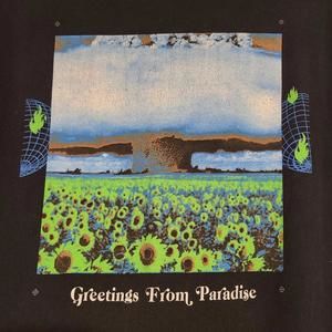 12OZ Soda Greetings Tillys Vaporwave Sunflowers Graphic Shirt Size M Medium